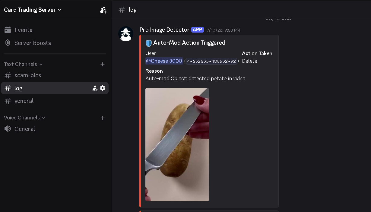 RoDevs image