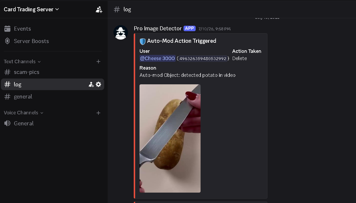 RoDevs image