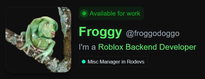 RoDevs image
